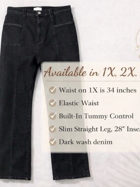 Mercari Header:
Saige Slim Straight Tummy Control Stretch Jeans 1X Black Wash